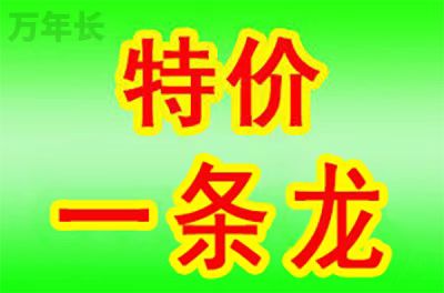 杭州浙江省杭州市上城区公墓地价格一览表大全